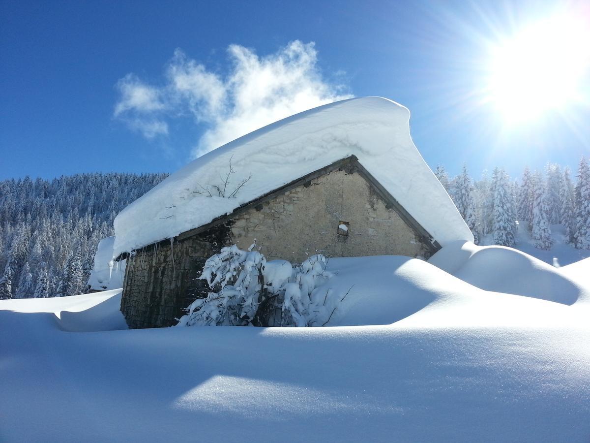 Alpine Smart Residence Folgaria Luaran gambar
