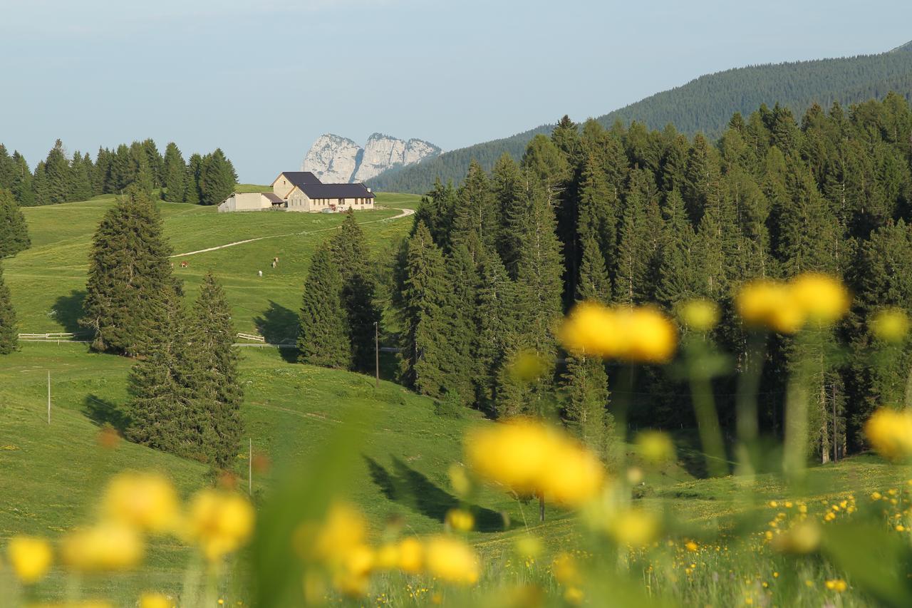 Alpine Smart Residence Folgaria Luaran gambar